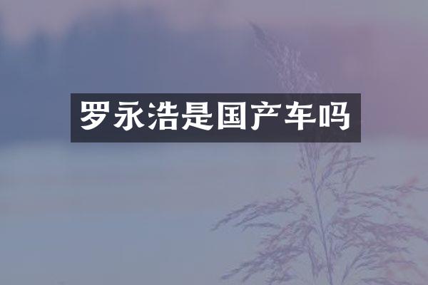 罗永浩是国产车吗