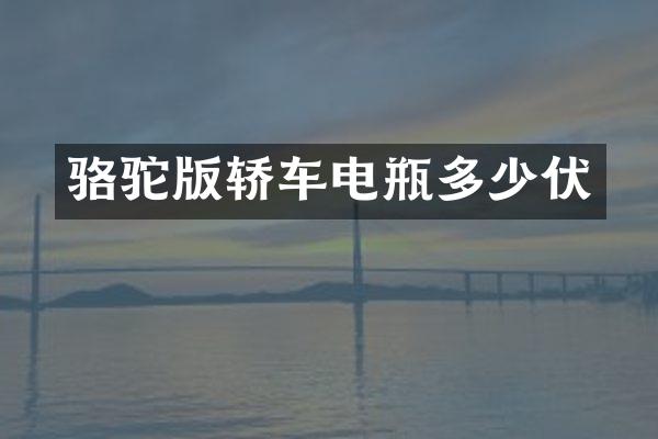 骆驼版轿车电瓶多少伏