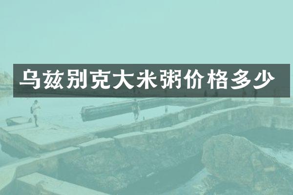 乌兹别克大米粥价格多少