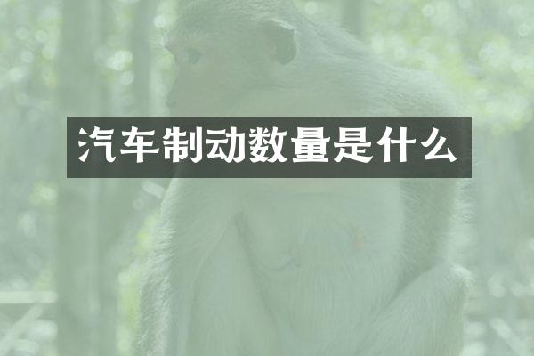 汽车制动数量是什么