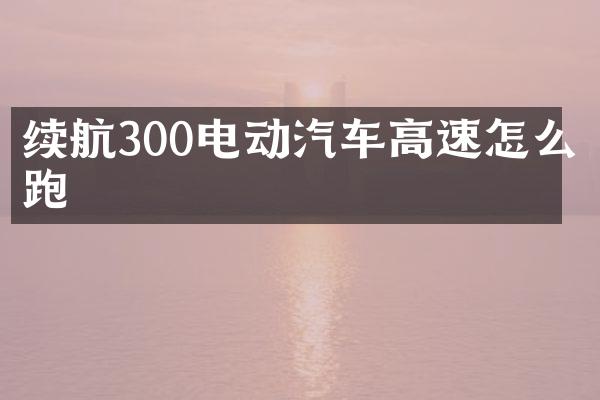 续航300电动汽车高速怎么跑