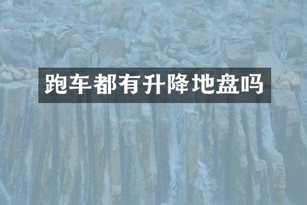 跑车都有升降地盘吗