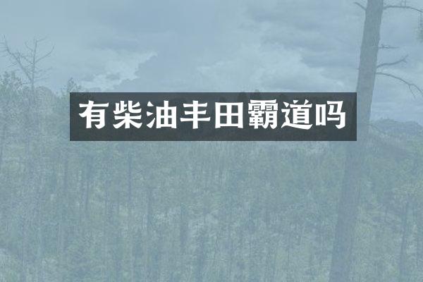 有柴油丰田霸道吗