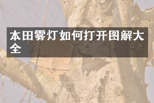 本田雾灯如何打开图解大全