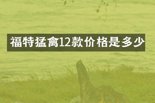 福特猛禽12款价格是多少