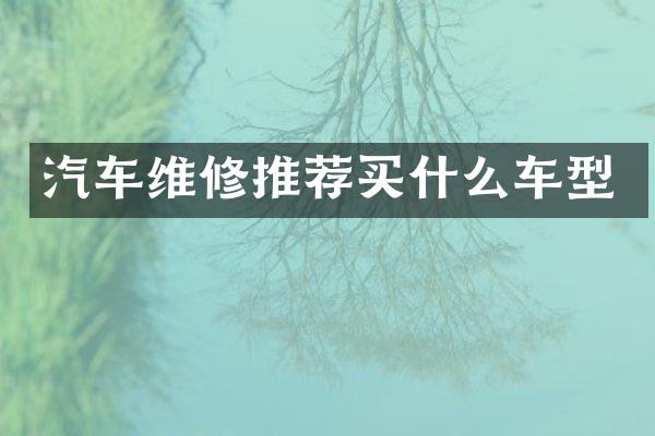 汽车维修推荐车型