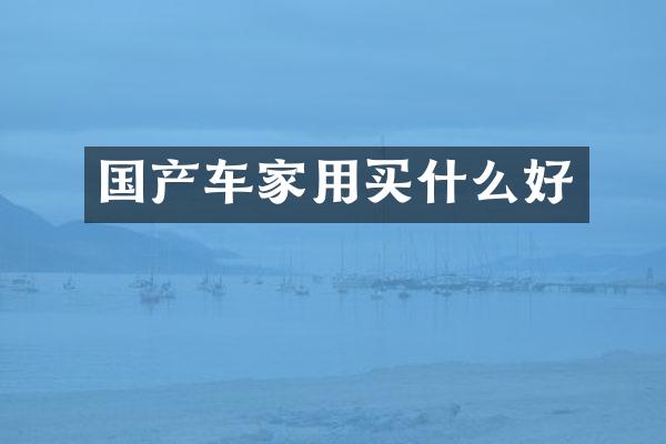 国产车家用好