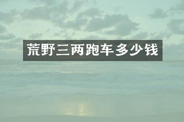 荒野三两跑车多少钱