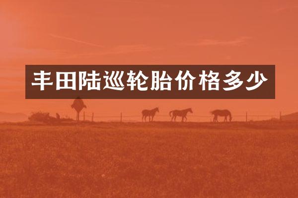 丰田陆巡轮胎价格多少