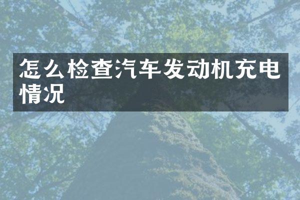 怎么检查汽车发动机充电情况