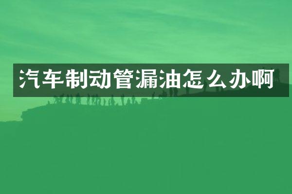 汽车制动管漏油怎么办啊