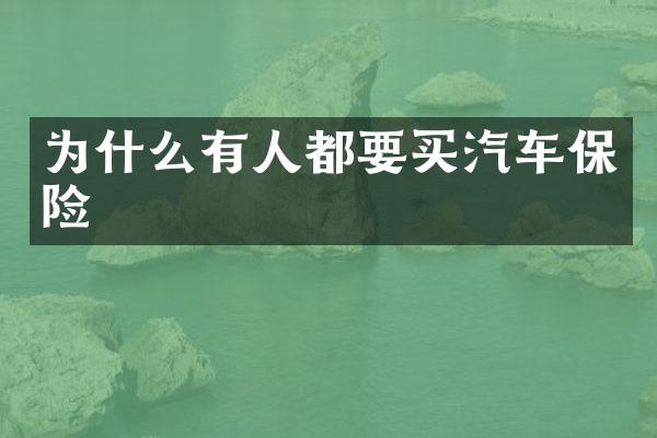 为什么有人都要买汽车保险