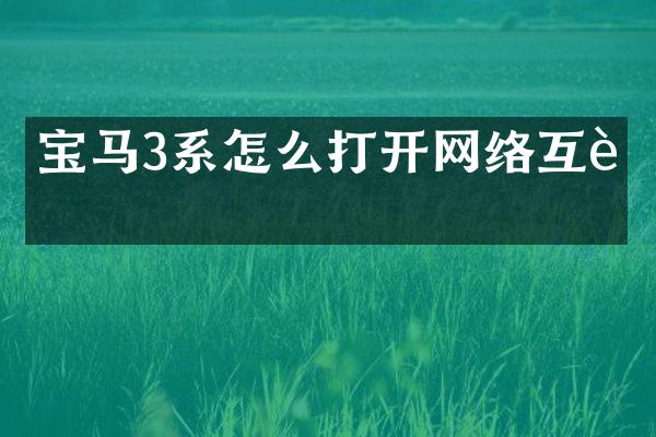 宝马3系怎么打开网络互联