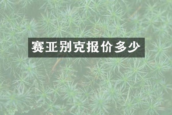 赛亚别克报价多少
