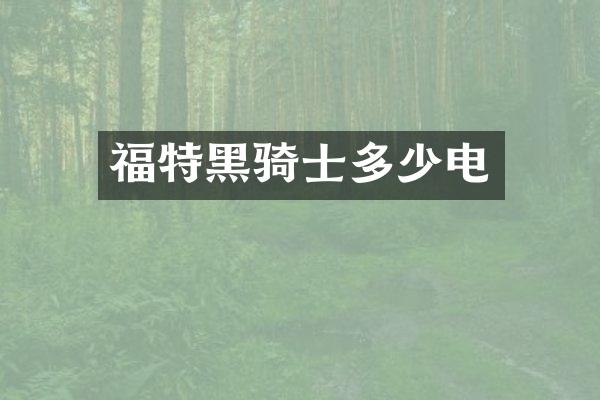 福特黑骑士多少电