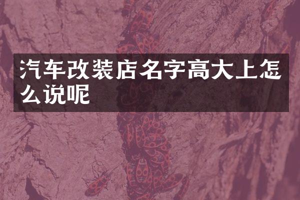 汽车改装店名字高大上怎么说呢
