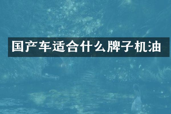 国产车适合什么牌子机油