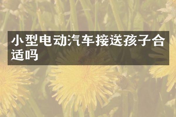 小型电动汽车接送孩子合适吗