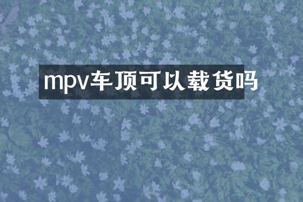 mpv车顶可以载货吗
