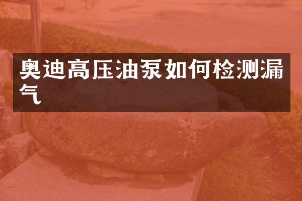 奥迪高压油泵如何检测漏气