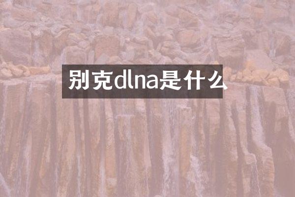 别克dlna是什么