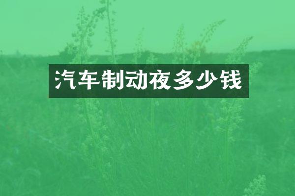 汽车制动夜多少钱