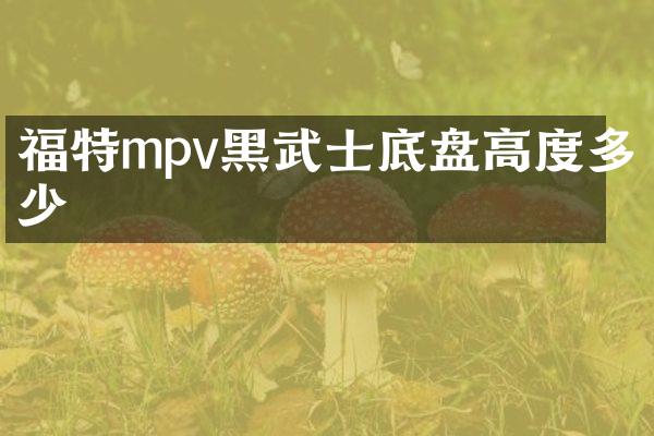 福特mpv黑武士底盘高度多少
