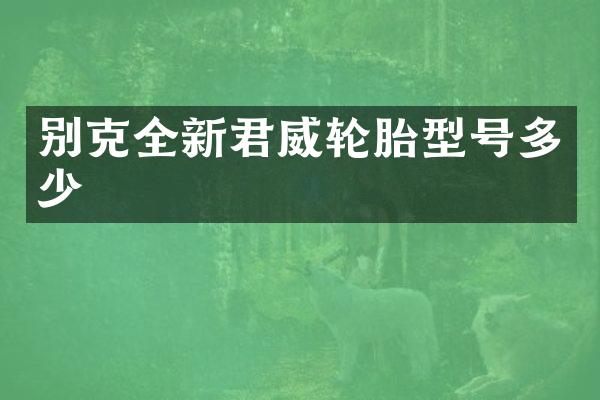 别克全新君威轮胎型号多少