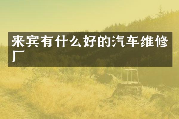 来宾有什么好的汽车维修厂