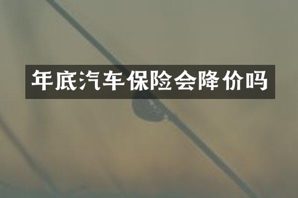 年底汽车保险会降价吗