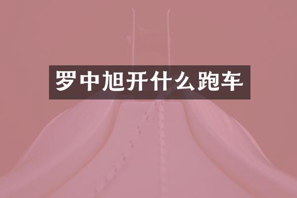 罗中旭开什么跑车