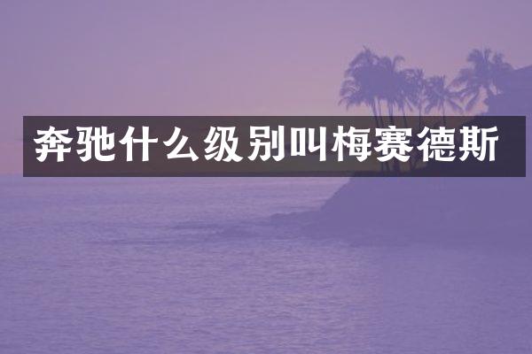 奔驰什么级别叫梅赛德斯