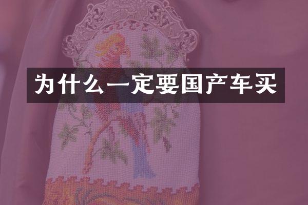 为什么一定要国产车买