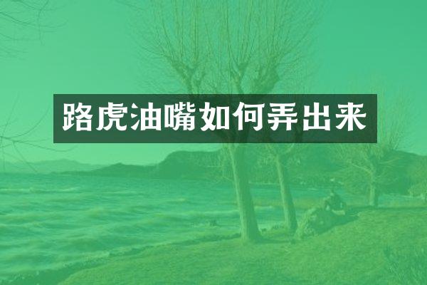 路虎油嘴如何弄出来