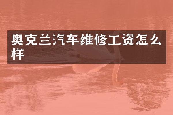 奥克兰汽车维修工资怎么样