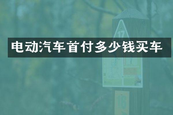 电动汽车首付多少钱买车