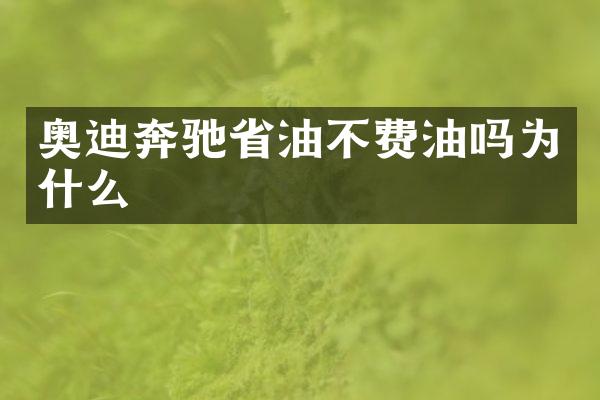 奥迪奔驰省油不费油吗为什么