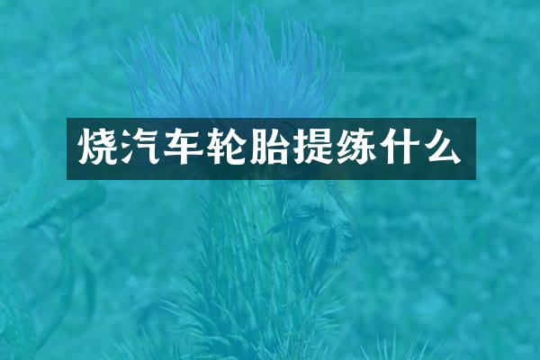 烧汽车轮胎提练什么