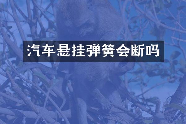 汽车悬挂弹簧会断吗