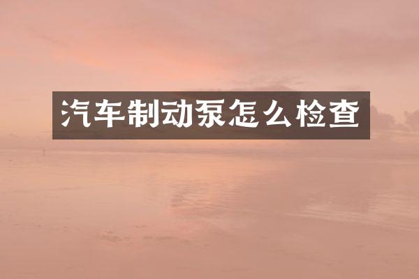 汽车制动泵怎么检查