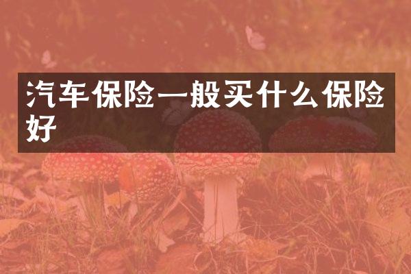 汽车保险一般保险好
