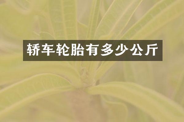 轿车轮胎有多少公斤