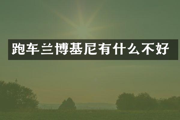 跑车兰博基尼有什么不好