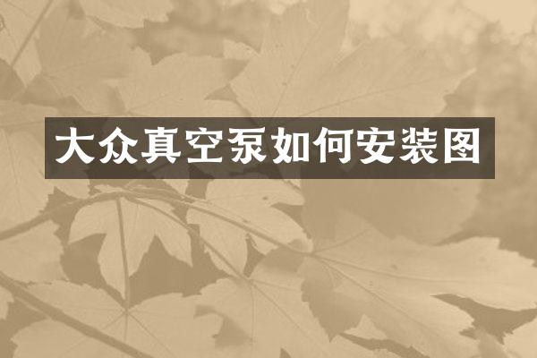 大众真空泵如何安装图