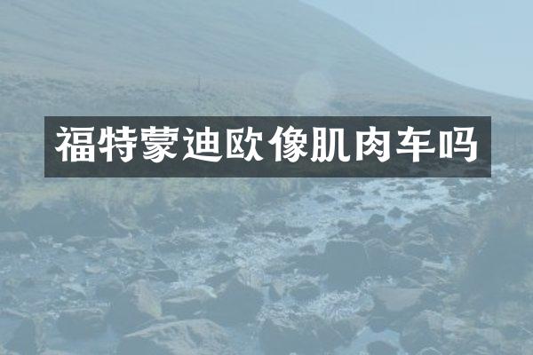 福特蒙迪欧像肌肉车吗