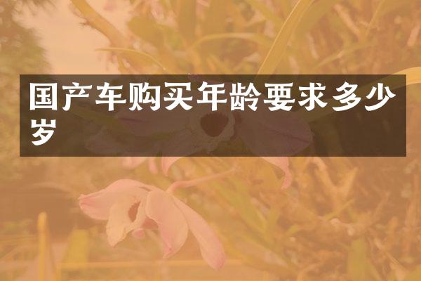 国产车购买年龄要求多少岁