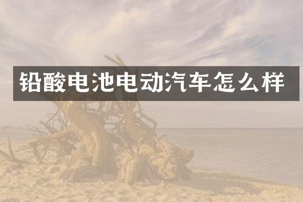 铅酸电池电动汽车怎么样