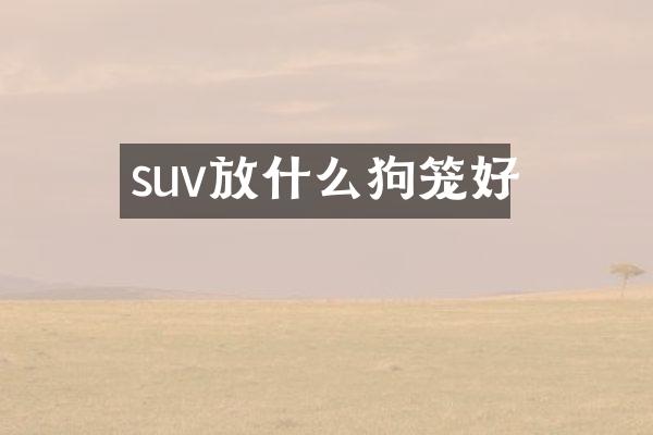 suv放什么狗笼好