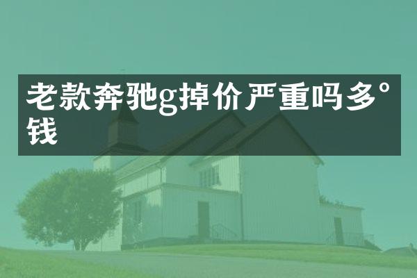 老款奔驰g掉价严重吗多少钱