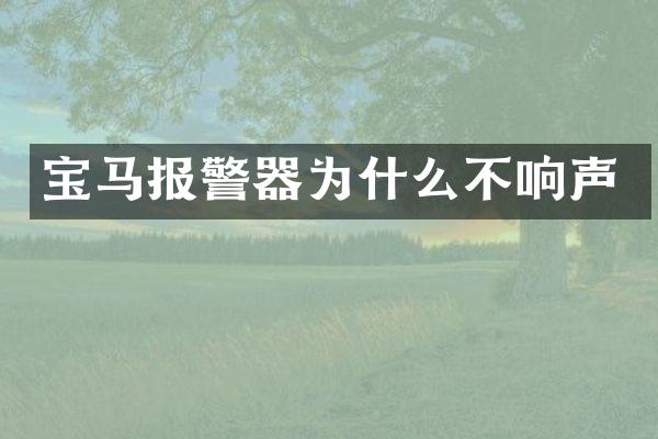 宝马报警器为什么不响声